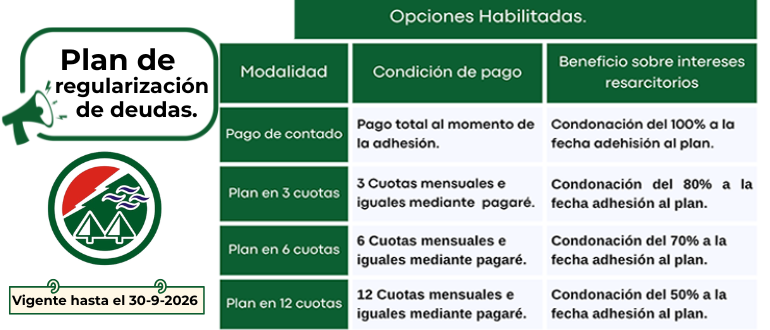 Slide 10